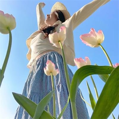 国产凌凌漆
